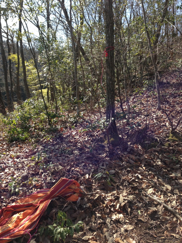 f:id:smoglog:20130312134337j:plain f:id:smoglog:20130312134337j:plain