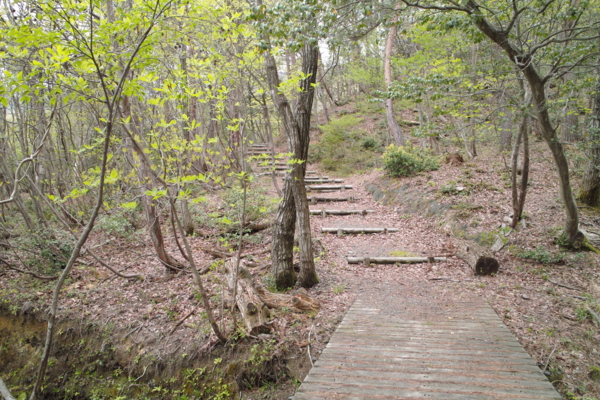 f:id:smoglog:20130420030758j:plain