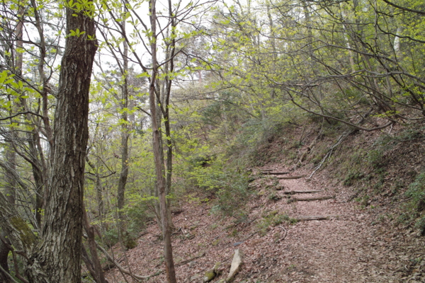 f:id:smoglog:20130420032451j:plain