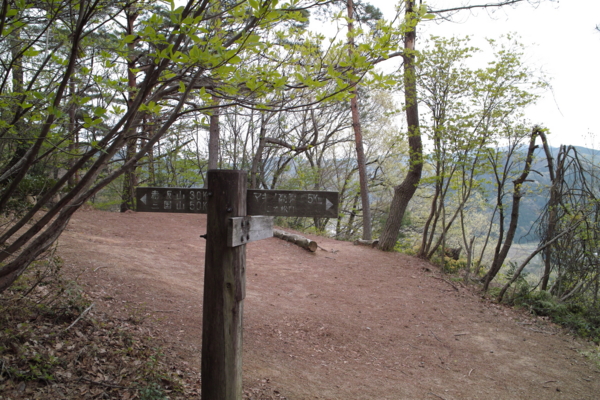 f:id:smoglog:20130420033703j:plain