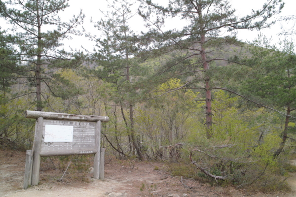 f:id:smoglog:20130420040111j:plain