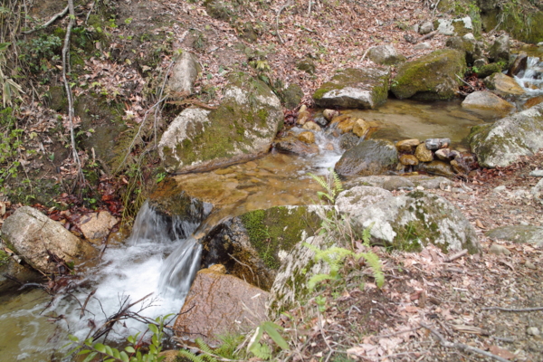 f:id:smoglog:20130420040457j:plain