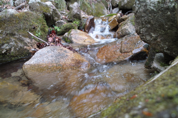 f:id:smoglog:20130420040543j:plain