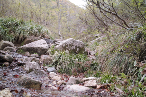 f:id:smoglog:20130420041009j:plain