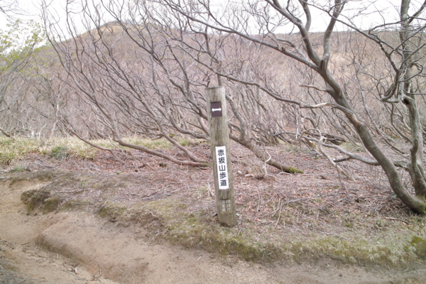 f:id:smoglog:20130420043543j:plain