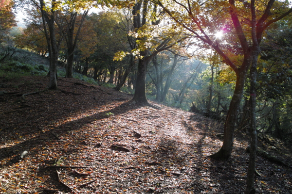 f:id:smoglog:20130825231732j:plain f:id:smoglog:20130825231732j:plain