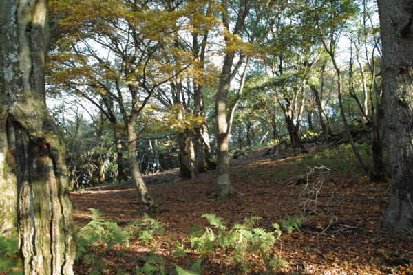 f:id:smoglog:20130825231800j:plain f:id:smoglog:20130825231800j:plain