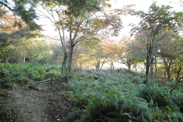 f:id:smoglog:20130825232000j:plain f:id:smoglog:20130825232000j:plain