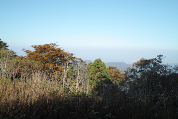 f:id:smoglog:20130825232448j:plain f:id:smoglog:20130825232448j:plain