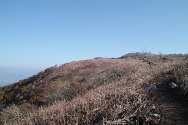 f:id:smoglog:20130825235439j:plain f:id:smoglog:20130825235439j:plain