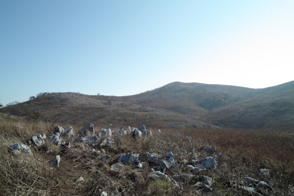 f:id:smoglog:20130826000927j:plain f:id:smoglog:20130826000927j:plain