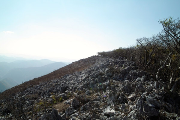 f:id:smoglog:20130826031811j:plain f:id:smoglog:20130826031811j:plain