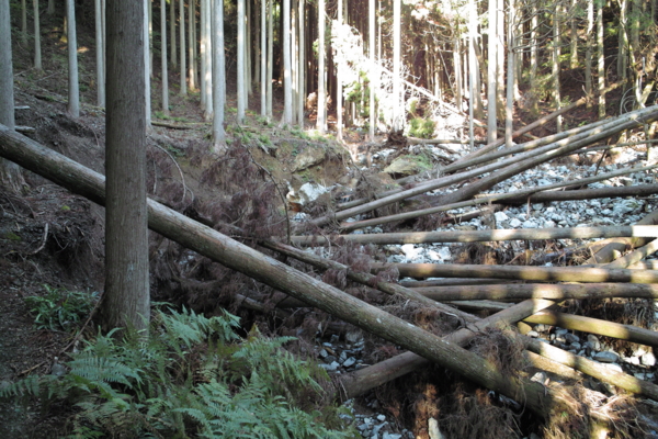 f:id:smoglog:20130826053315j:plain f:id:smoglog:20130826053315j:plain