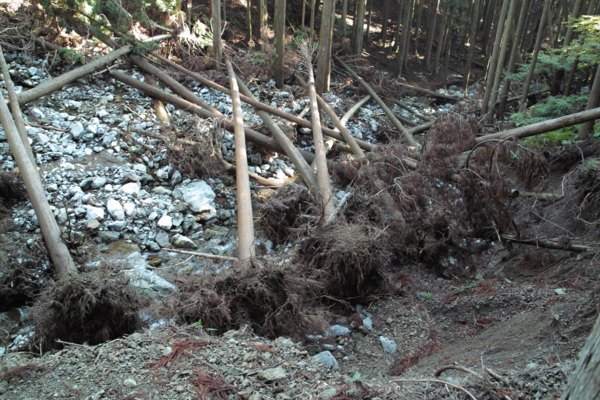 f:id:smoglog:20130826053443j:plain f:id:smoglog:20130826053443j:plain