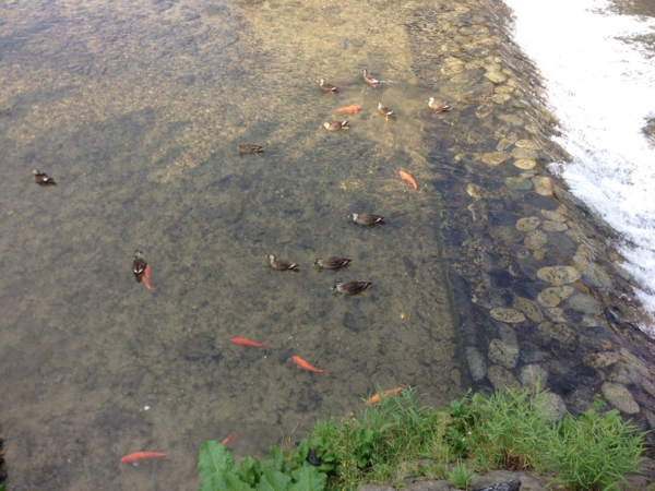 f:id:smoglog:20130913081510j:plain