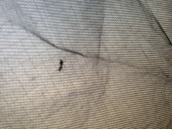 f:id:smoglog:20130929140842j:plain