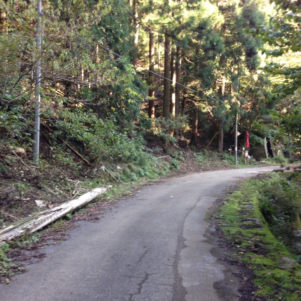 f:id:smoglog:20131105140149j:plain f:id:smoglog:20131105140149j:plain