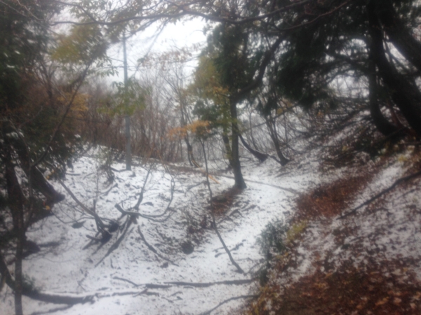 f:id:smoglog:20131112151621j:plain