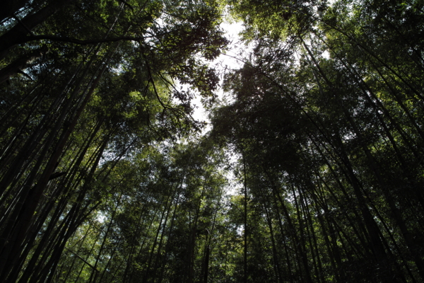 f:id:smoglog:20140401130745j:plain f:id:smoglog:20140401130745j:plain