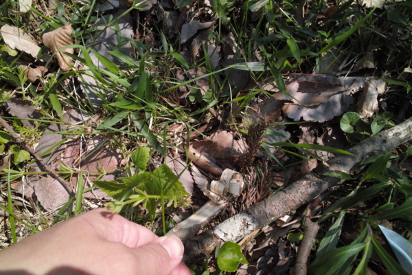 f:id:smoglog:20140420050028j:plain