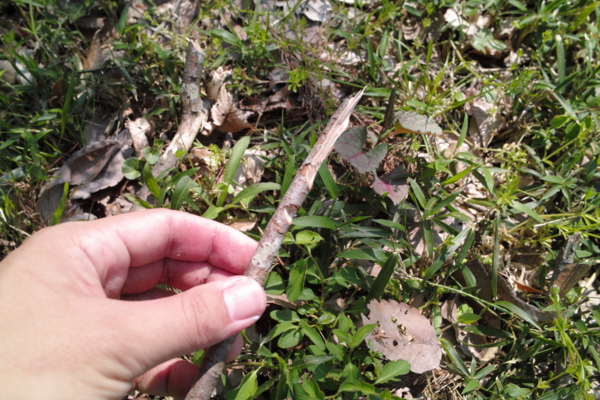 f:id:smoglog:20140420050633j:plain