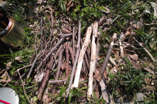 f:id:smoglog:20140420052120j:plain