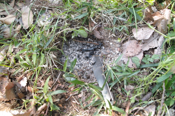 f:id:smoglog:20140420061924j:plain