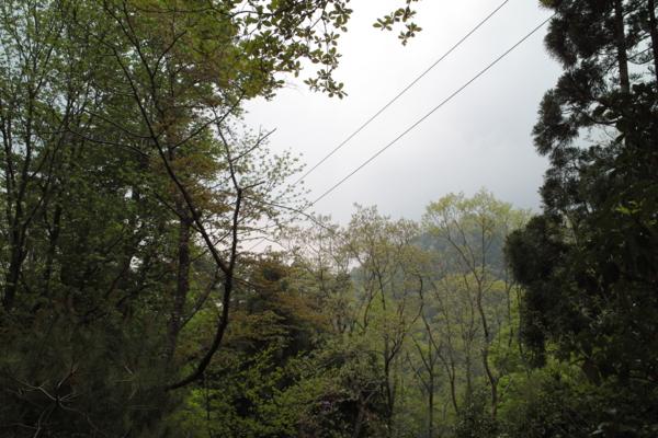 f:id:smoglog:20140428034252j:plain