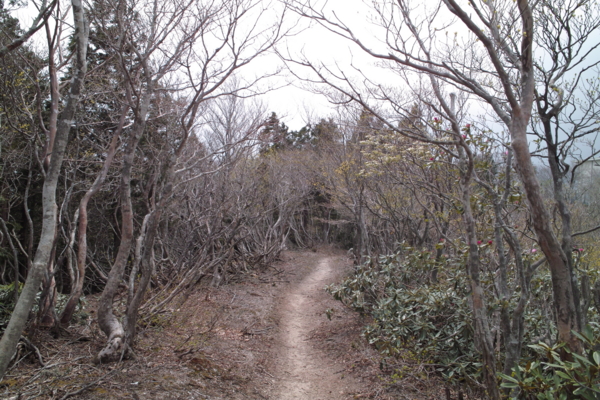 f:id:smoglog:20140428045130j:plain