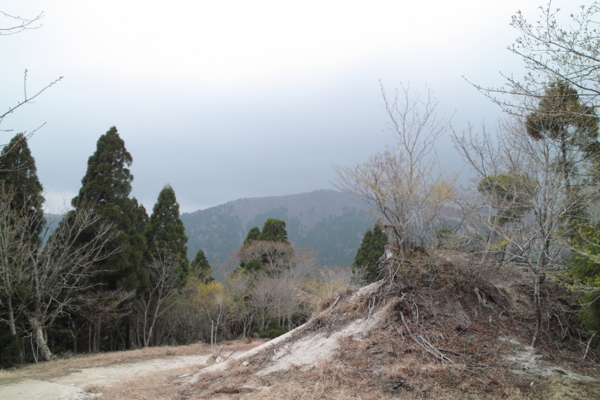 f:id:smoglog:20140428051224j:plain