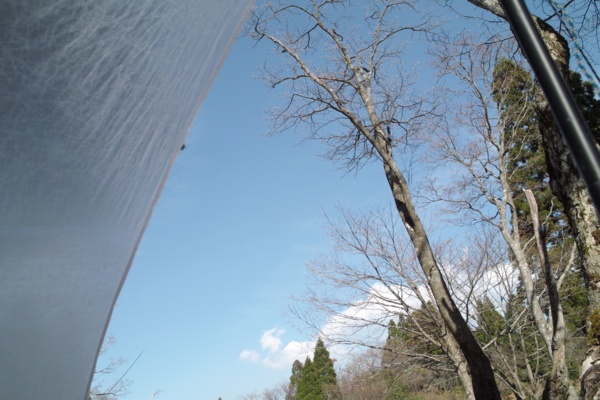 f:id:smoglog:20140428070503j:plain
