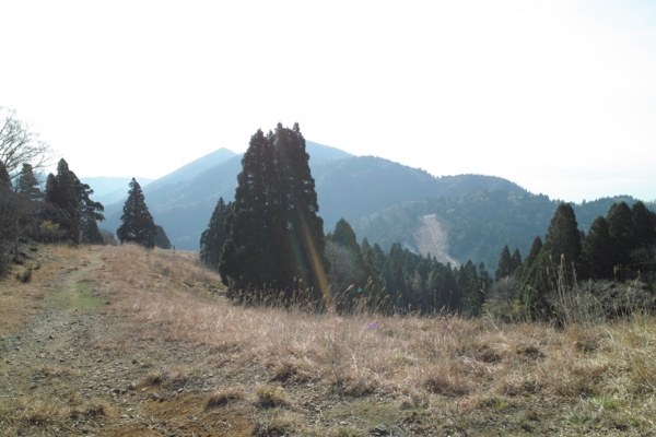 f:id:smoglog:20140428221813j:plain