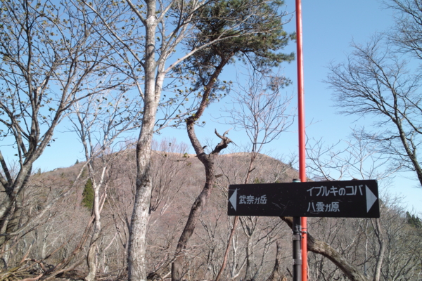 f:id:smoglog:20140428223806j:plain