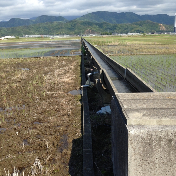 f:id:smoglog:20140523152055j:plain