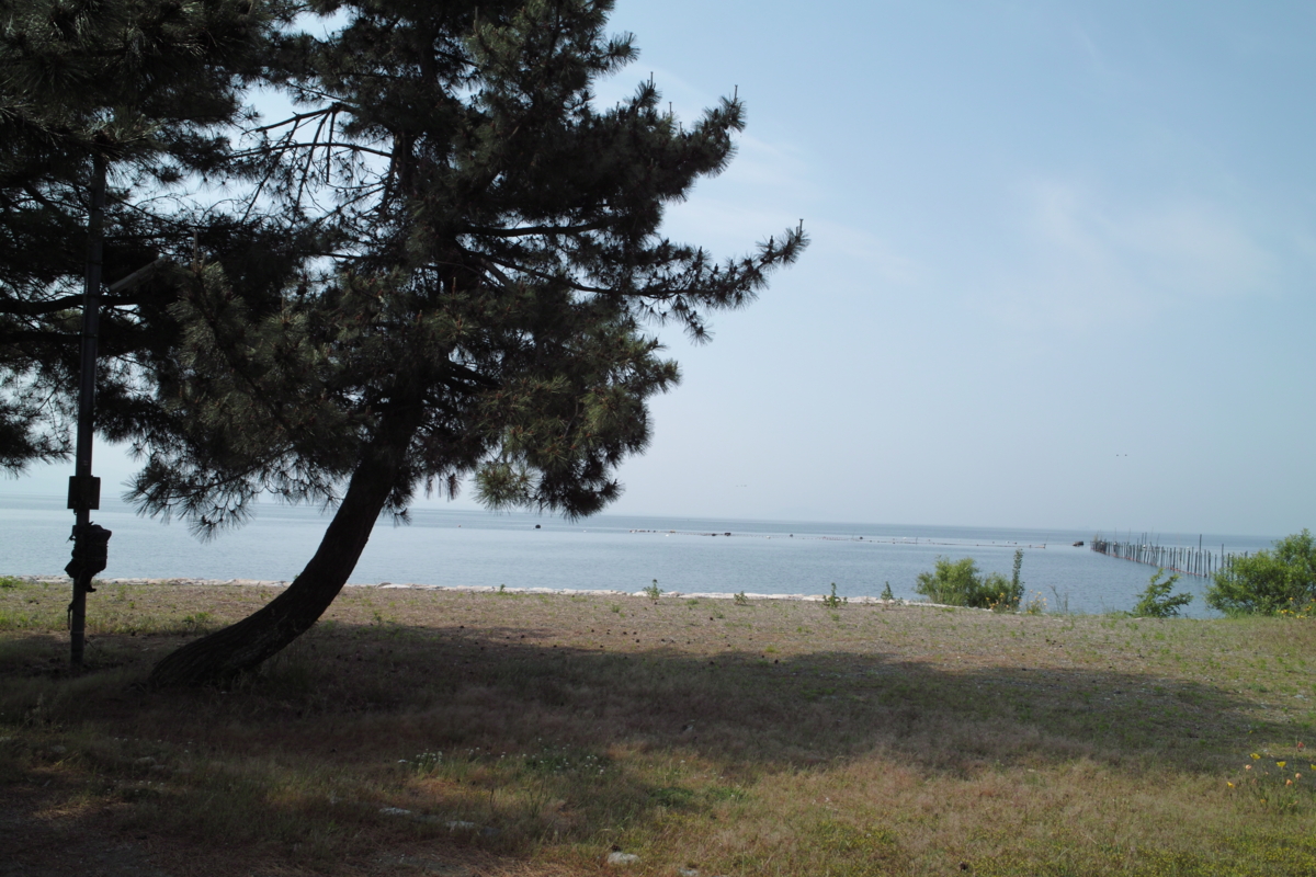 f:id:smoglog:20140524000116j:plain