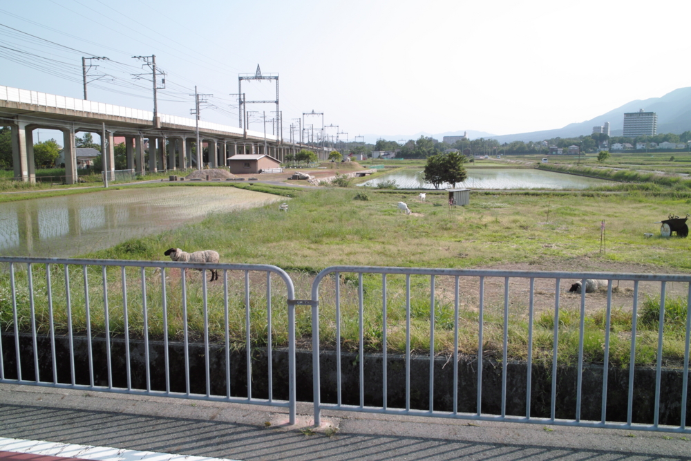 f:id:smoglog:20140524070736j:plain