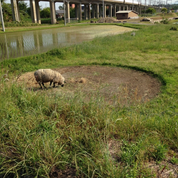 f:id:smoglog:20140529155334j:plain