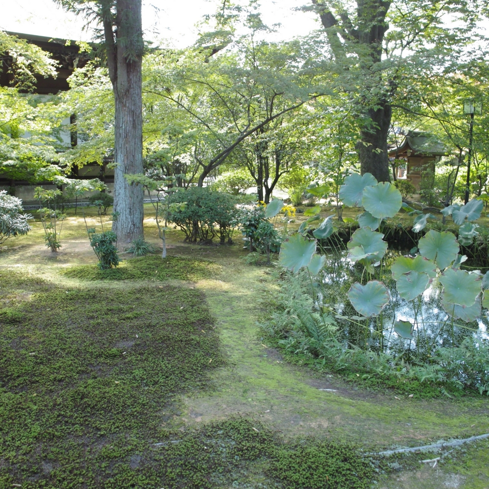 f:id:smoglog:20141023123320j:plain