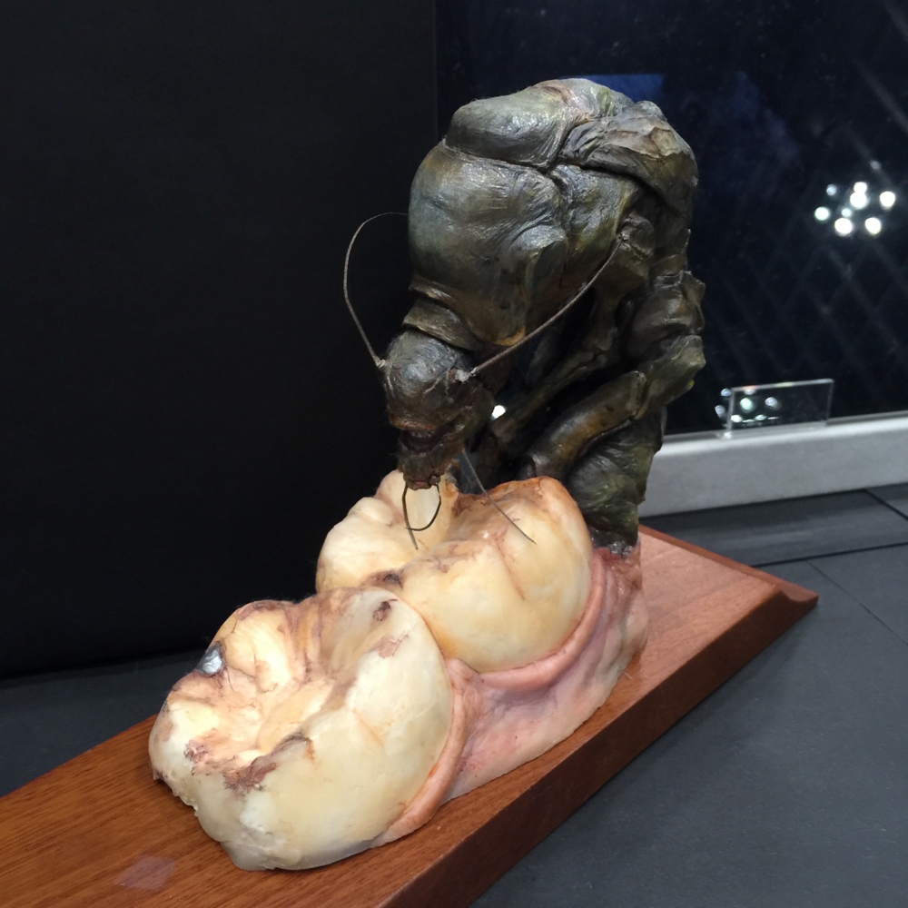 f:id:smoglog:20150726161322j:plain