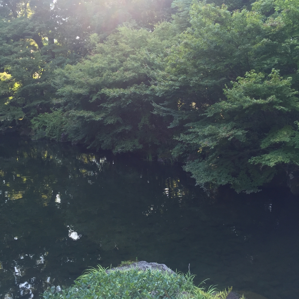 f:id:smoglog:20150822164308j:plain