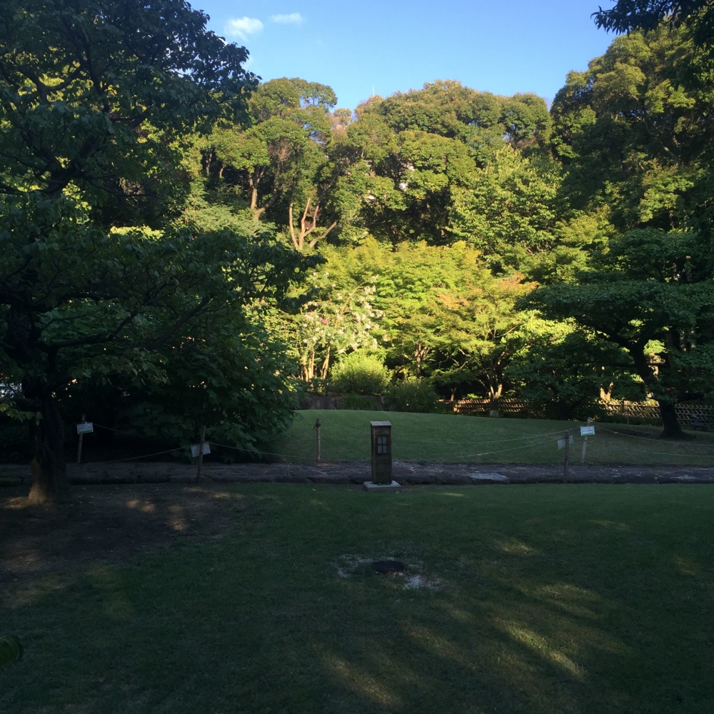 f:id:smoglog:20150822164751j:plain