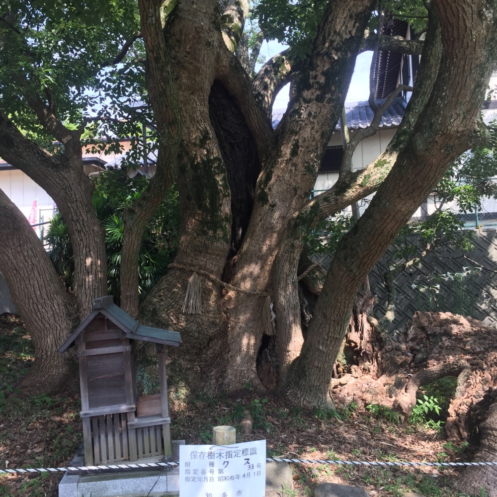 f:id:smoglog:20150823140740j:plain