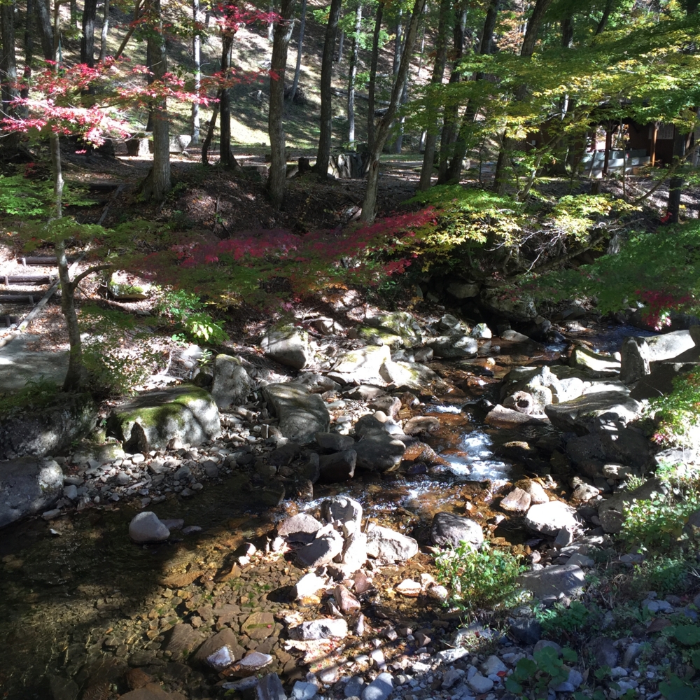 f:id:smoglog:20151031234111j:plain