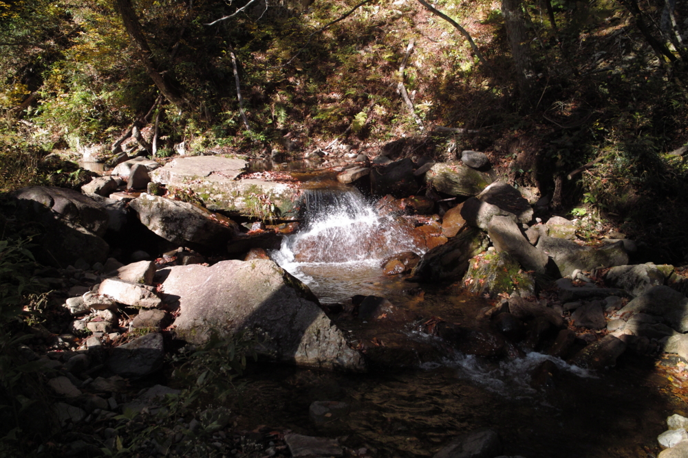 f:id:smoglog:20151031234116j:plain