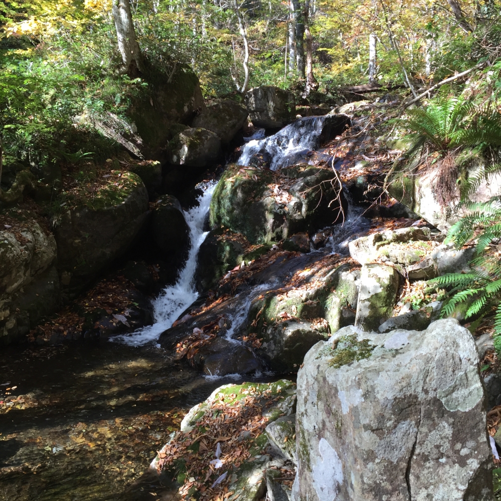 f:id:smoglog:20151031234119j:plain