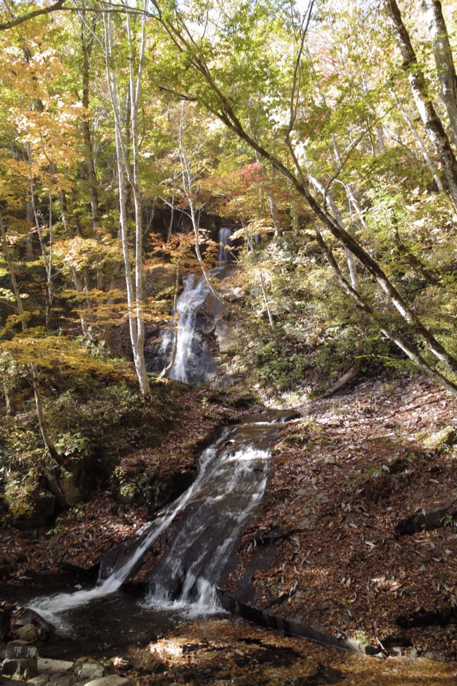 f:id:smoglog:20151031234122j:plain