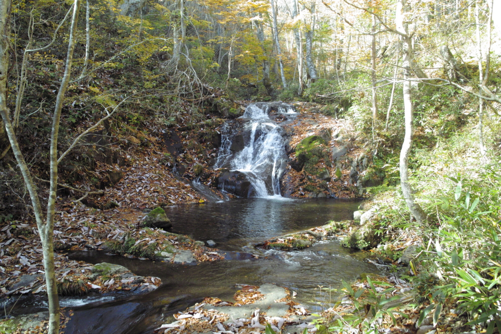 f:id:smoglog:20151031234130j:plain