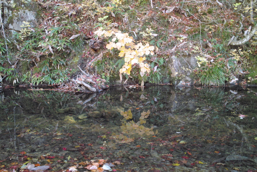 f:id:smoglog:20151031234133j:plain