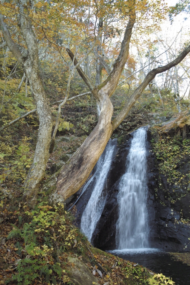 f:id:smoglog:20151031234136j:plain