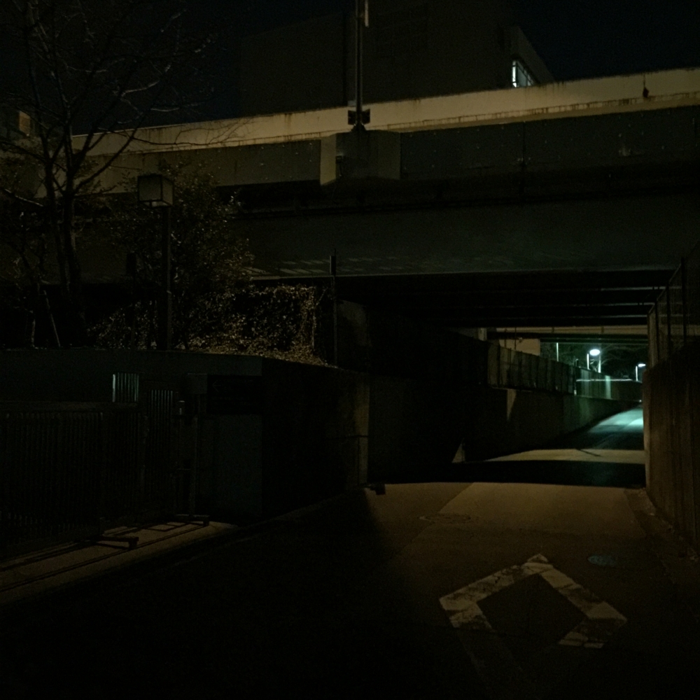 f:id:smoglog:20160112001136j:plain